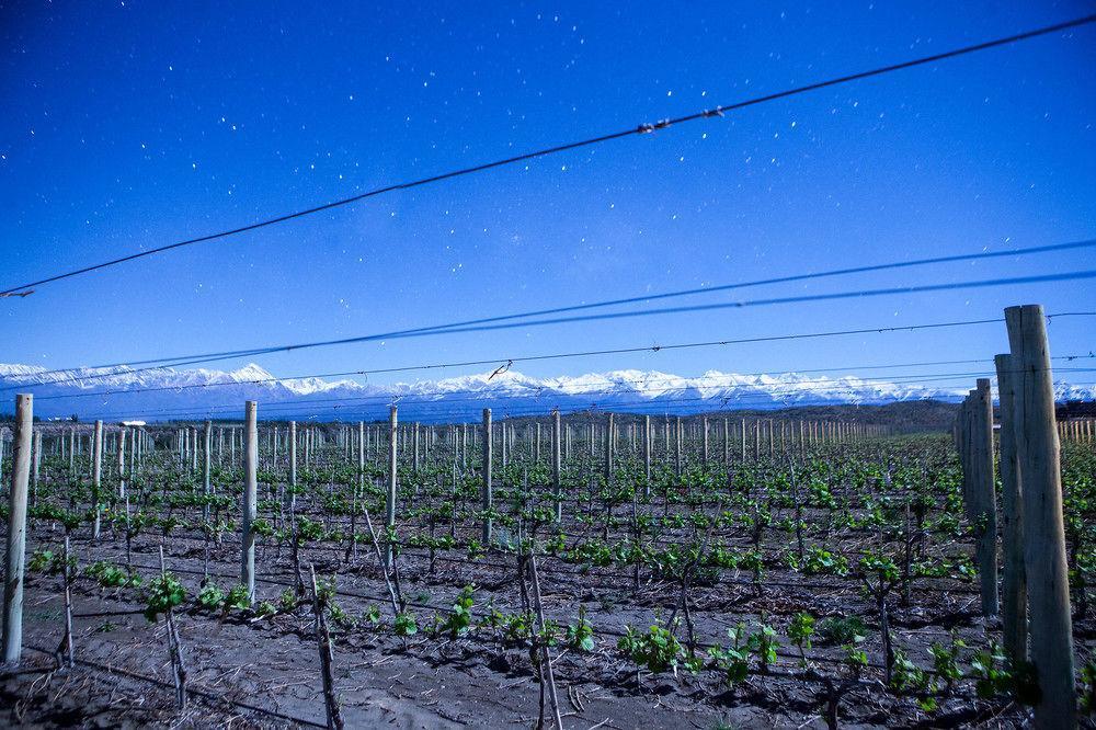 Auberge Du Vin, A Tribute Portfolio Hotel トゥプンガート エクステリア 写真